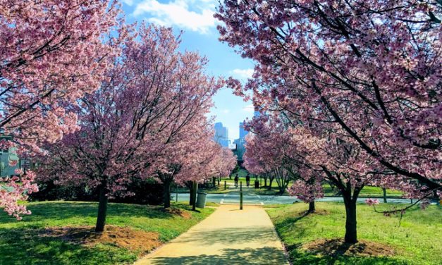 Why Moving to Charlotte in the Spring is a Good Idea